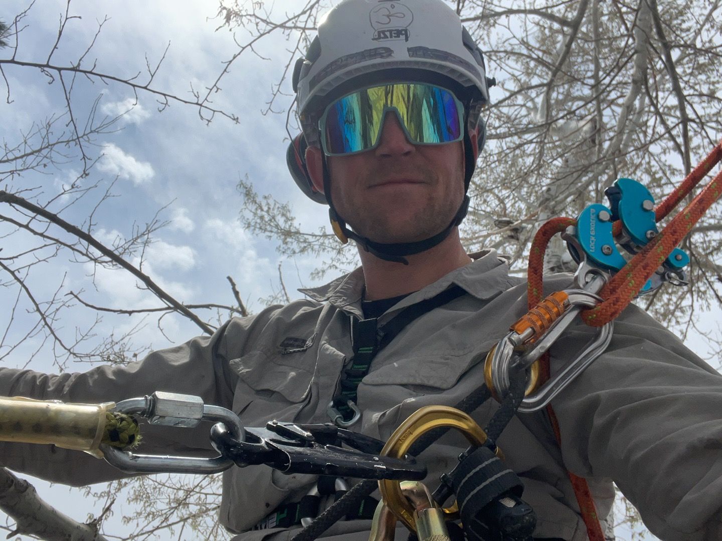 Boulder Tree Surgeon arborist tied in on climbing ropes while pruning