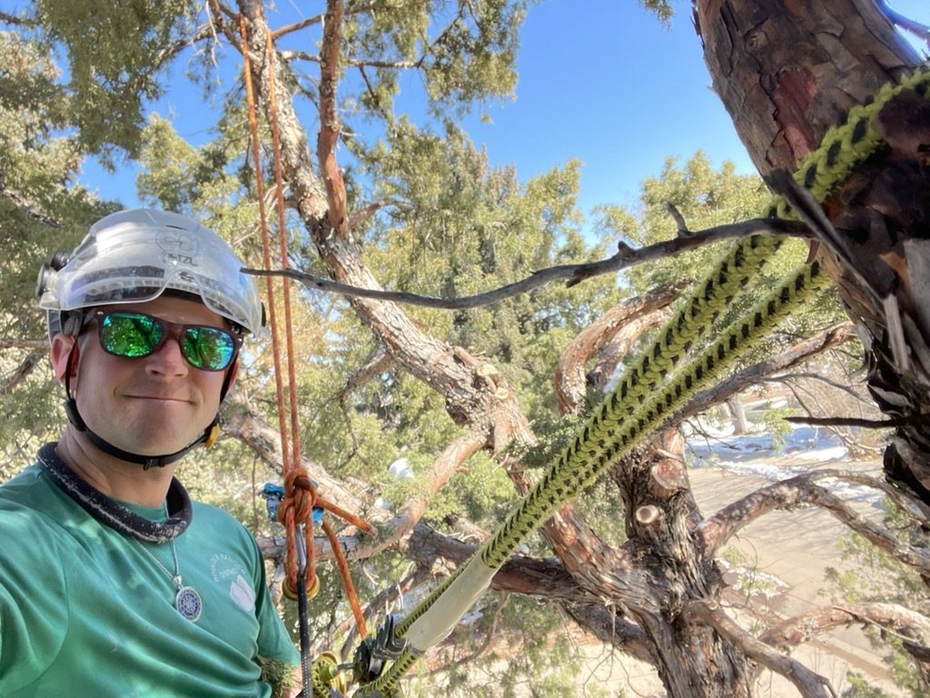 In the canopy on rope with rigging visible