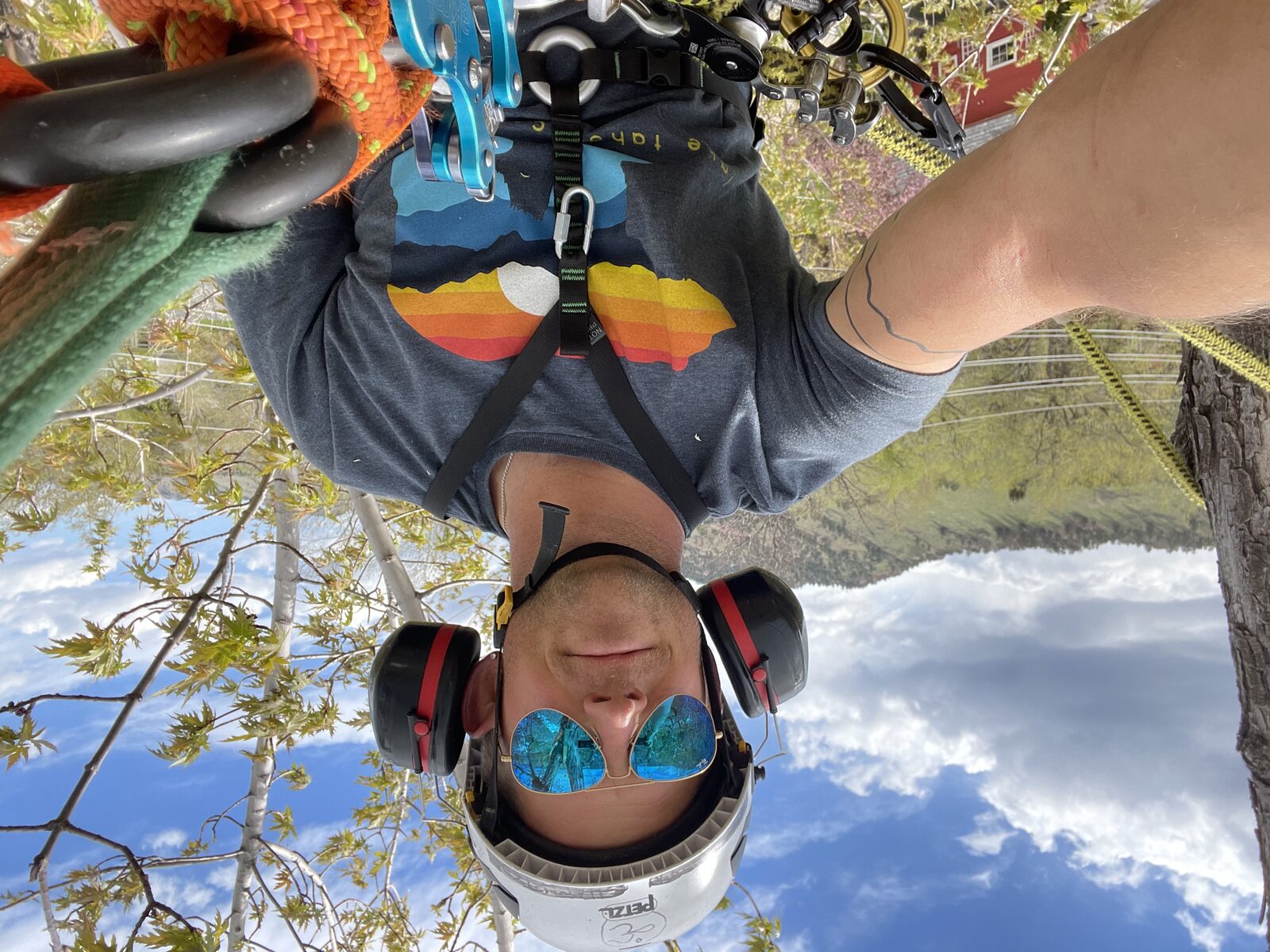 ISA certified arborist self-portrait in a tree with mountain backdrop — Front Range