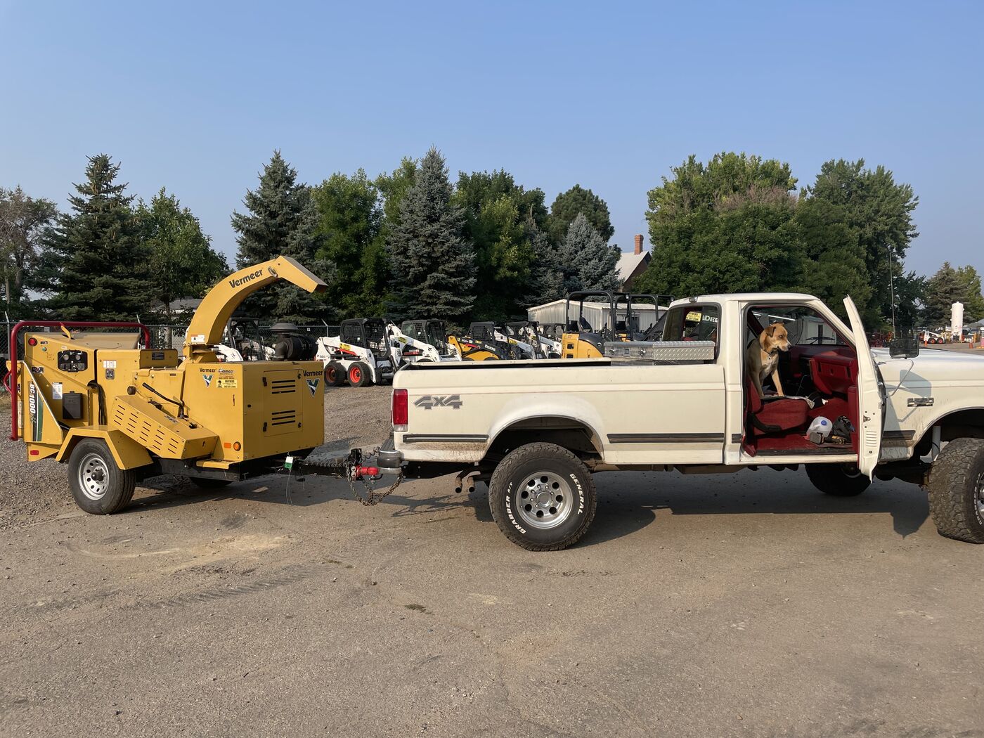 Canopy work — branch removal and structural pruning
