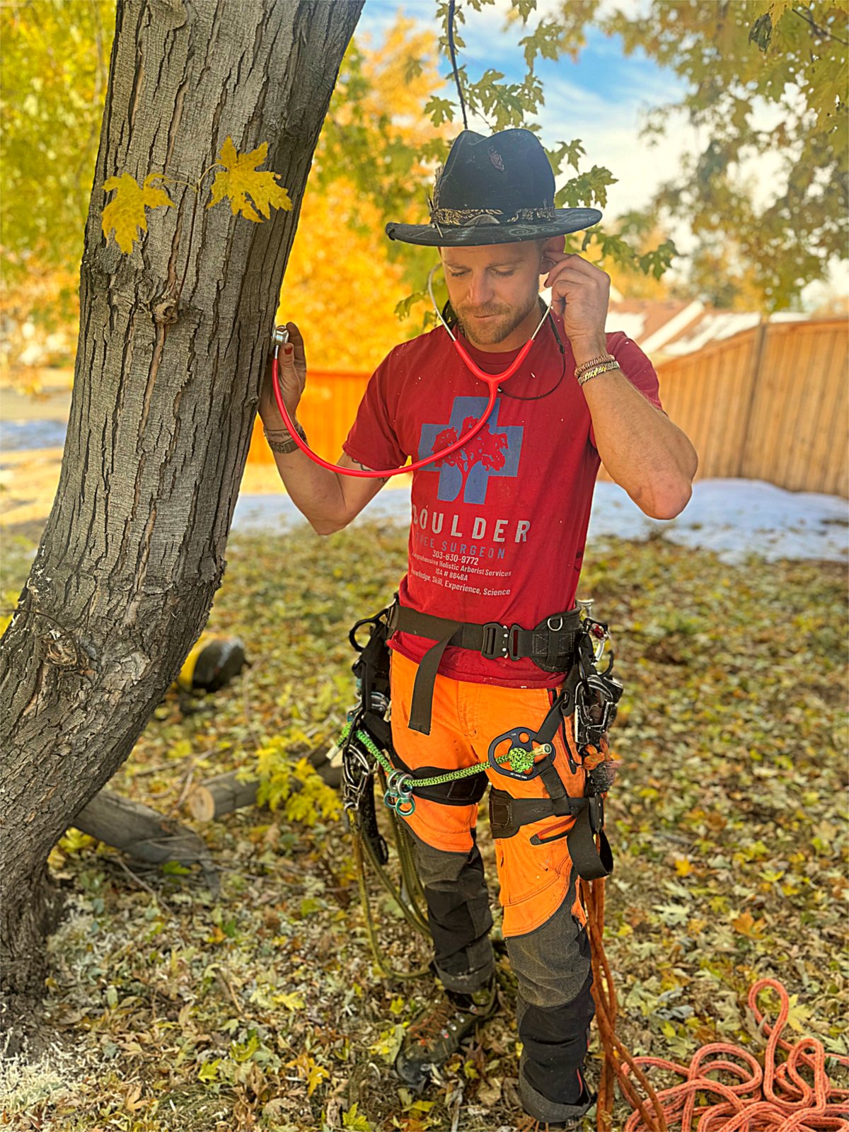 Kryn Dykema in a Boulder Tree Surgeon shirt and climbing harness, holding a stethoscope against a tree trunk among autumn leaves