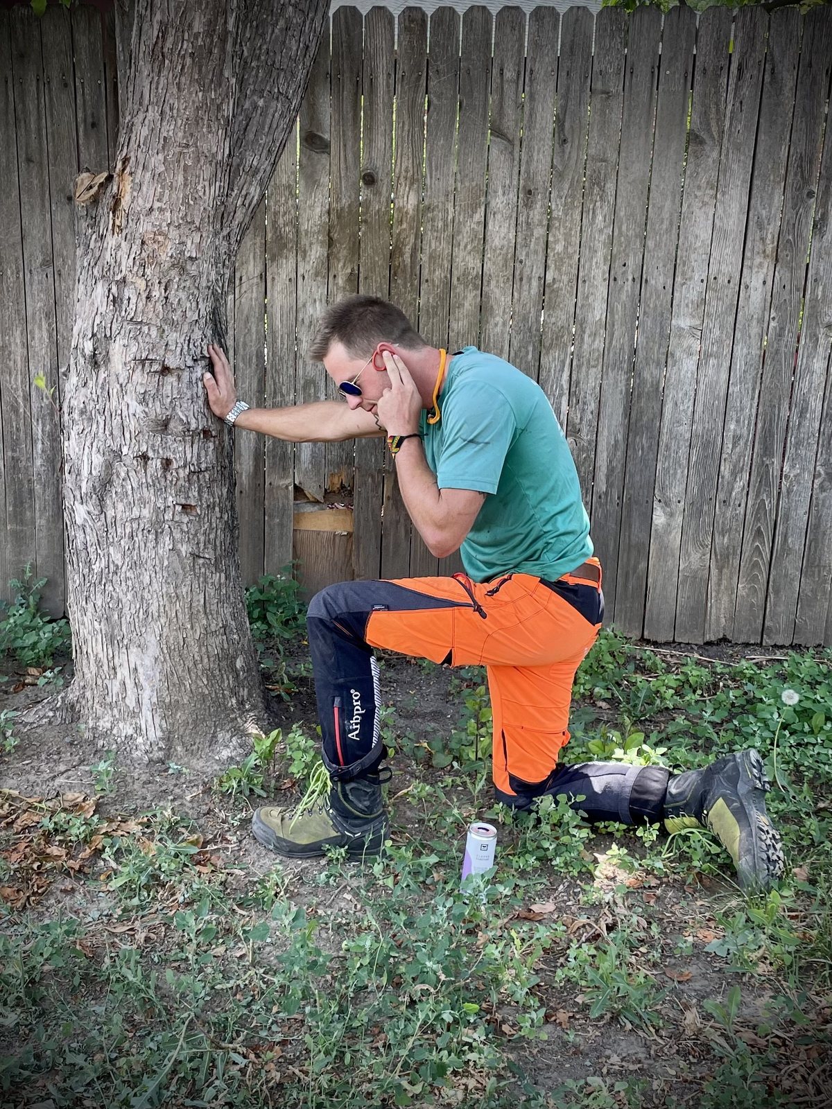 Kneeling at the base of a mature trunk with a hand on the bark, assessing the tree